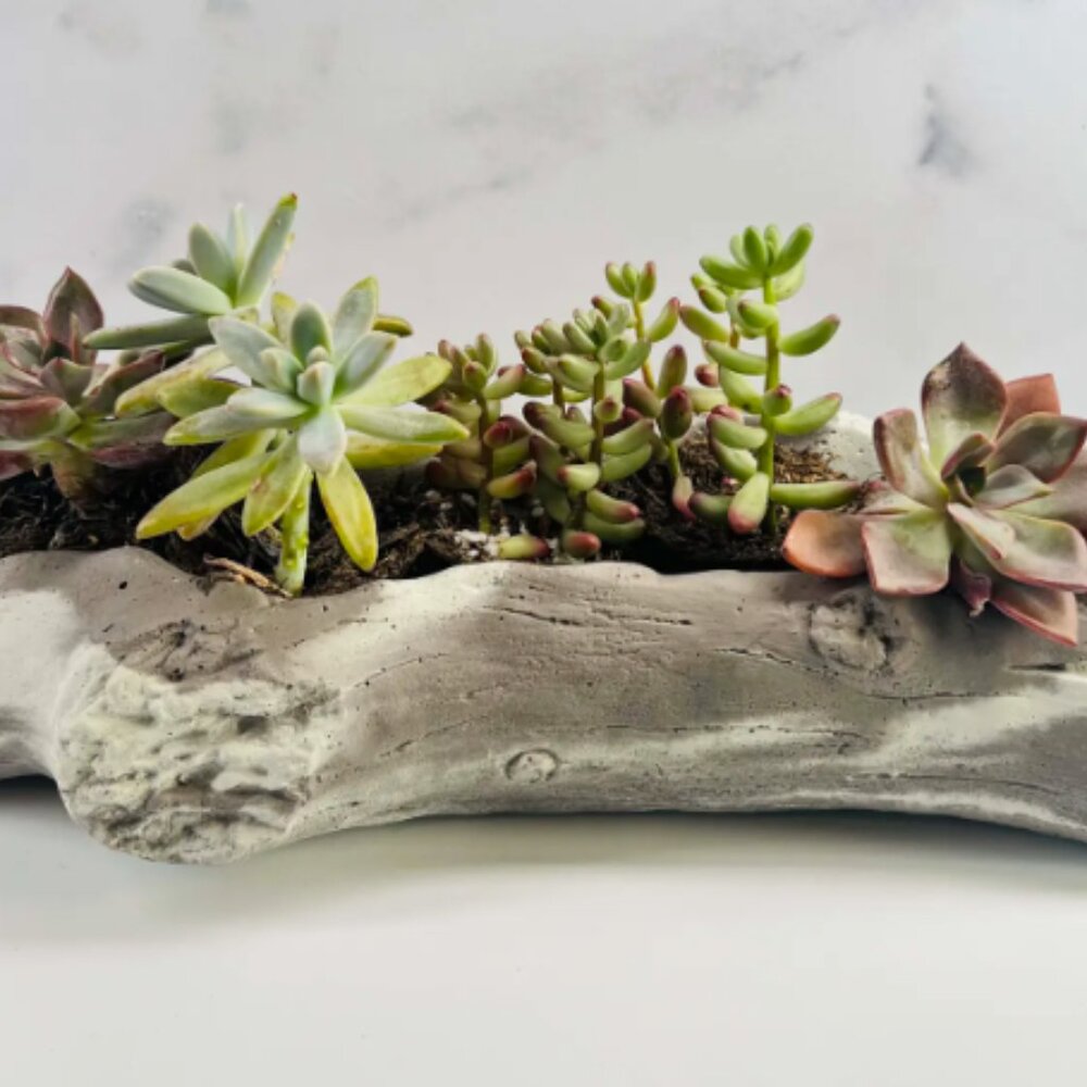 Handmade Cement Log Planter or Candle Vessel